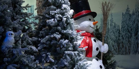 Snow Village Mauritius (4)